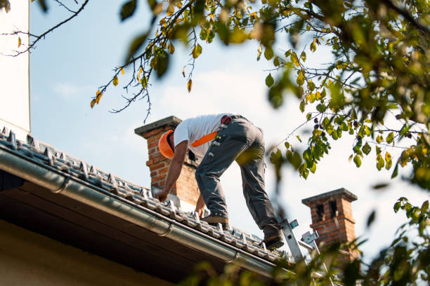 Quick and Trustworthy Emergency Roof Repair Services in Riverside, IL